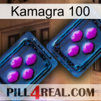 Kamagra 100 03